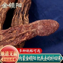 锁阳沙漠野生金锁阳内蒙锁阳个锁阳片规格齐全