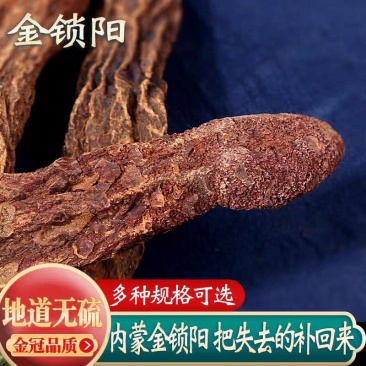 锁阳沙漠野生金锁阳内蒙锁阳个锁阳片规格齐全