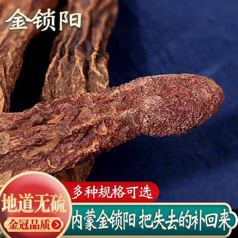 锁阳沙漠野生金锁阳内蒙锁阳个锁阳片规格齐全