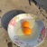 皖南散养土鸡蛋礼盒装量大从优欢迎咨询洽谈