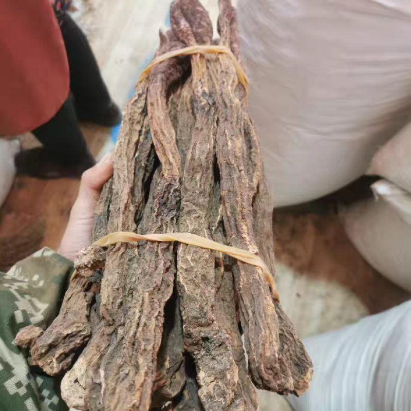 锁阳沙漠野生金锁阳内蒙锁阳个锁阳片规格齐全