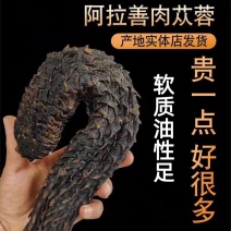 肉苁蓉软质油性肉苁蓉整根含量高规格全批发零售