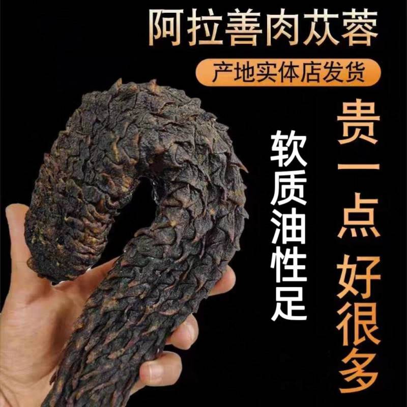 肉苁蓉软质油性肉苁蓉整根含量高规格全批发零售