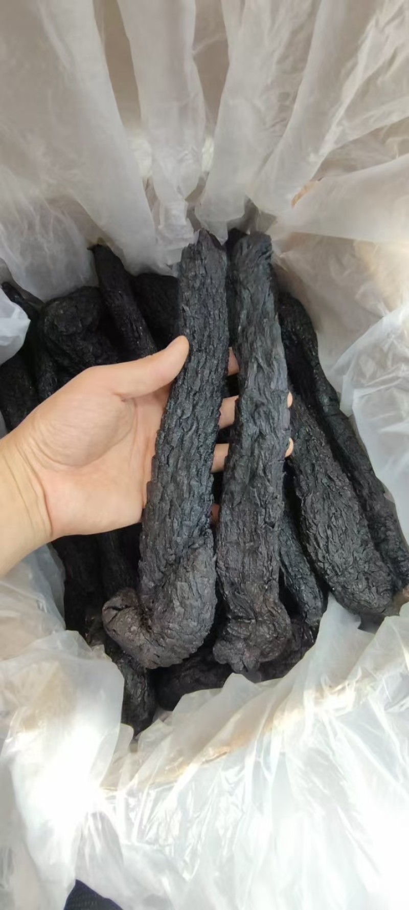 肉苁蓉软质油性肉苁蓉整根含量高规格全批发零售