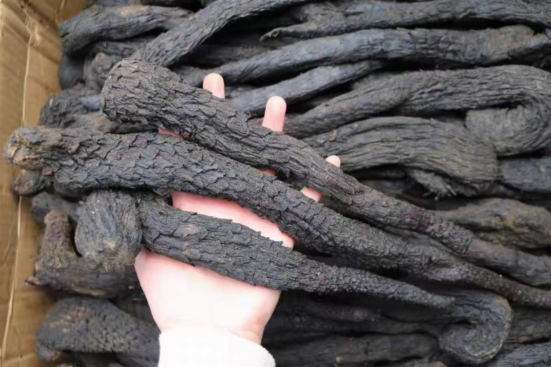 肉苁蓉软质油性肉苁蓉整根含量高规格全批发零售