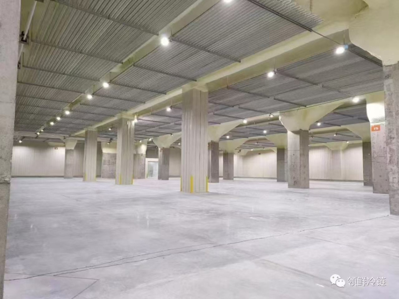 佛山领鲜冷链——粤港澳大湾区高标冷链招商！