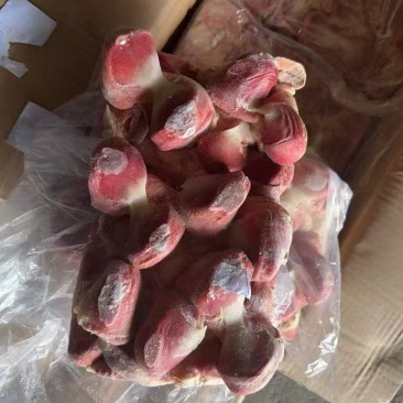 鹅珍