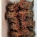 包野生回春草不老草草苁蓉顶天柱一手货源批发零售