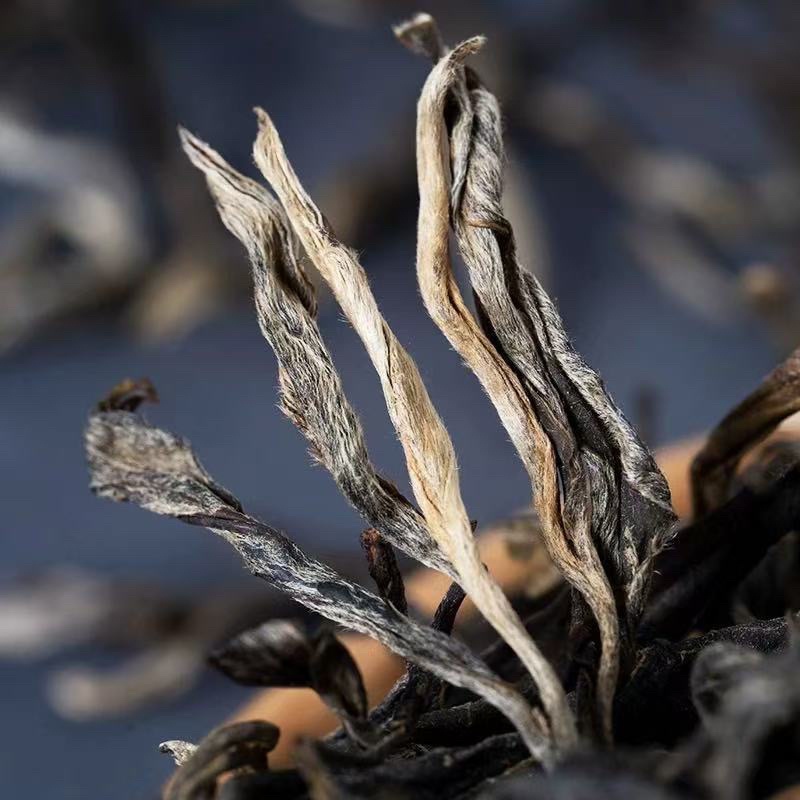 云南普洱茶/散茶/产区直发/大量有货
