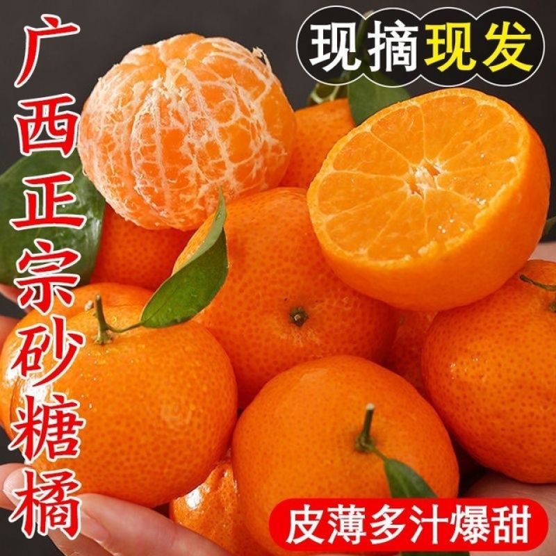 【果园优选】沙糖桔广西发货规格齐全大量现货下单发货