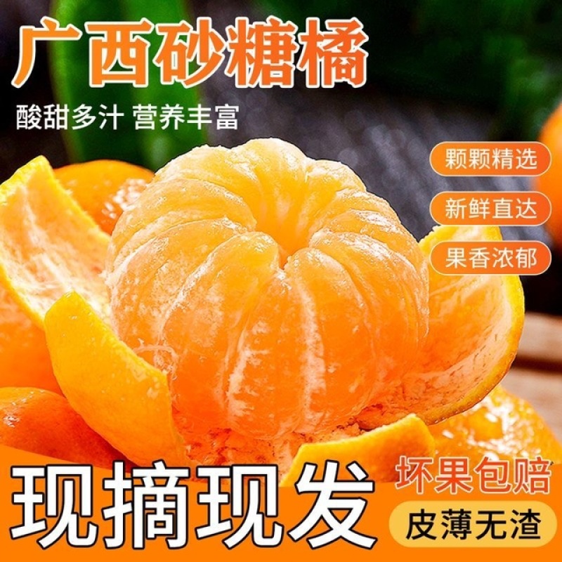 【实力】广西沙糖桔新鲜采摘发货快量大从优价低货优来电咨询