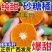 【实力】广西沙糖桔新鲜采摘发货快量大从优价低货优来电咨询