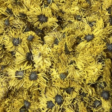 正宗今年新产金丝皇菊，花大，一朵泡一杯
