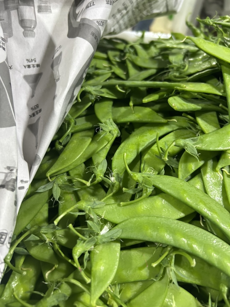 云南精品荷兰豆原产地直销全年365天供应