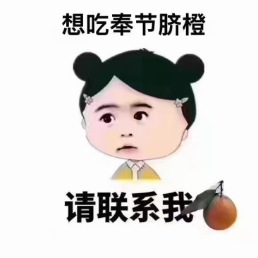重庆奉节脐橙纽荷尔