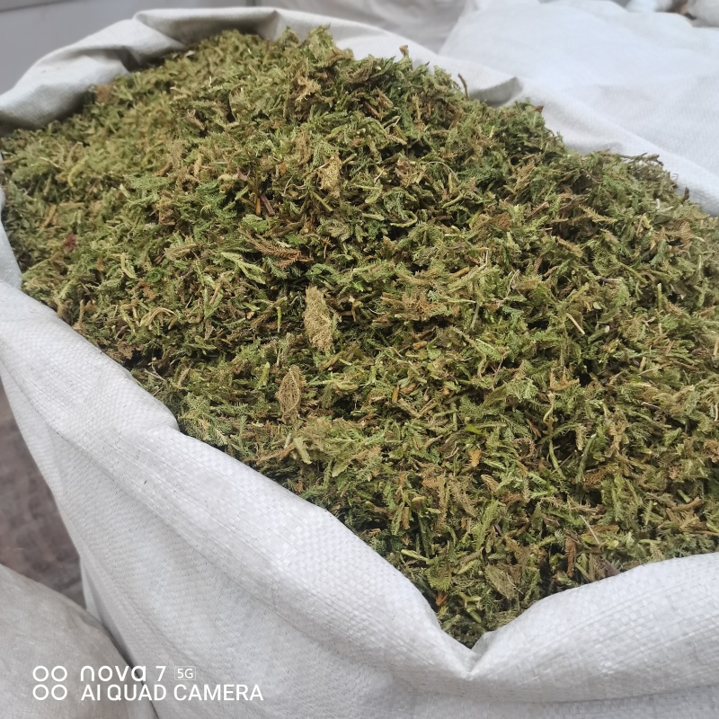 中药材伸筋草新货规格齐全常年大货供应质量保证的