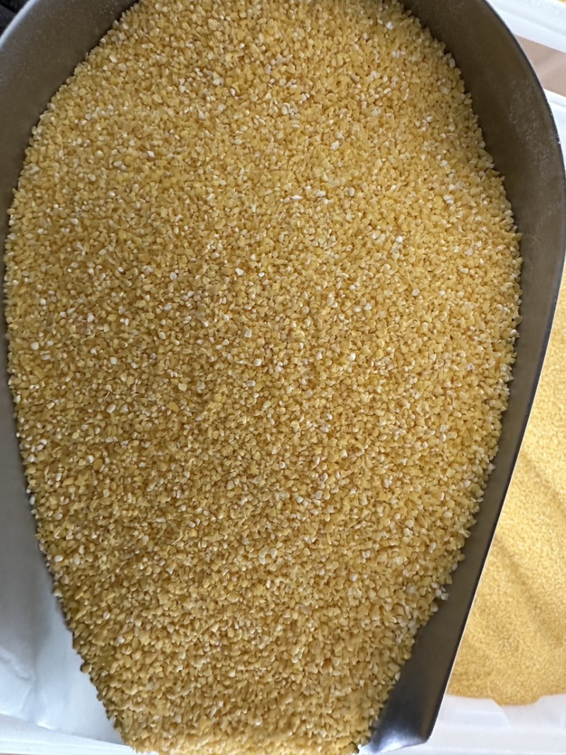甘肃厂家直发可定制黄糯玉米糁黄糯玉米碴粘玉米渣熬粥香糯