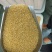 甘肃厂家直发可定制黄糯玉米糁黄糯玉米碴粘玉米渣熬粥香糯