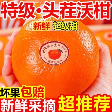 沃柑全平台一件代发
