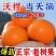 沃柑全平台一件代发