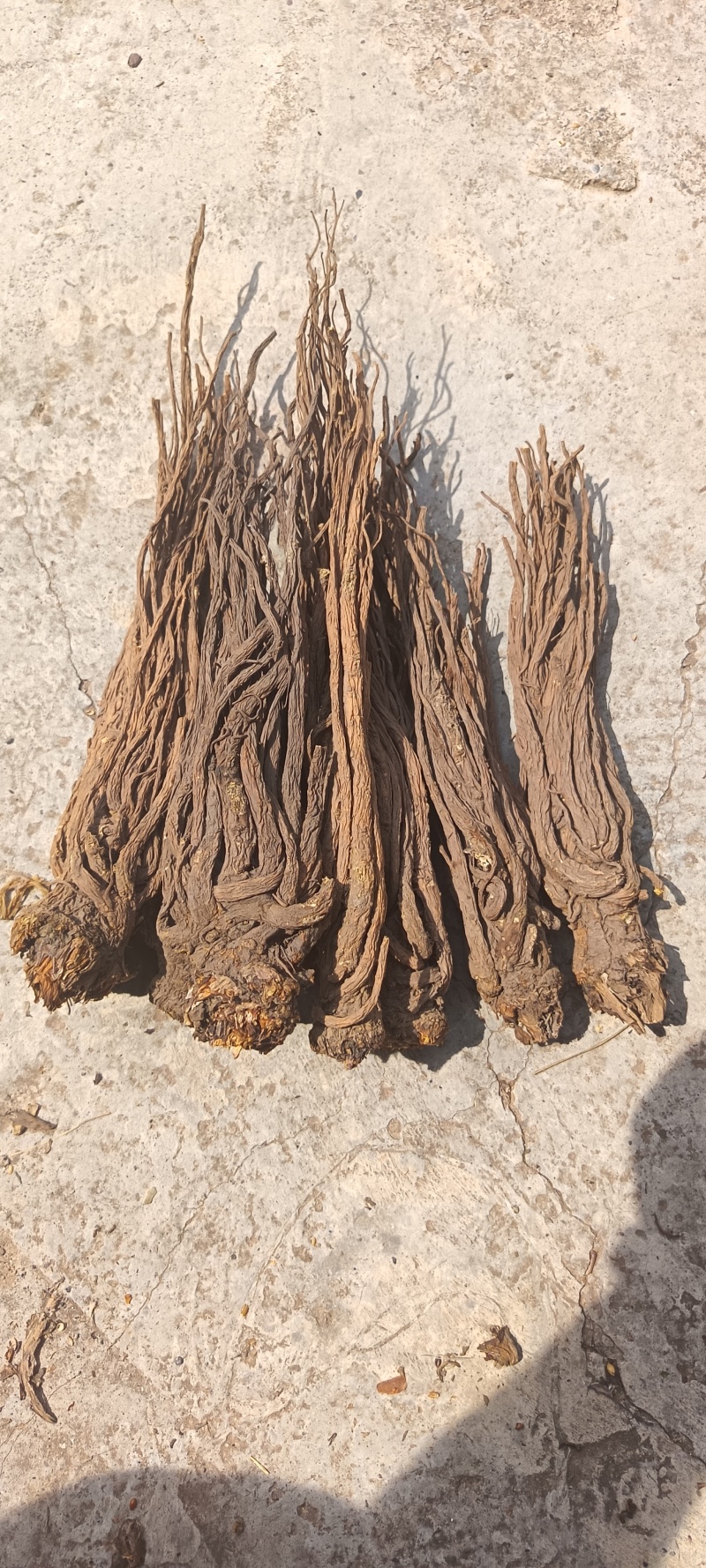 正宗岷县全条当归无熏硫，原产地发货量大从优