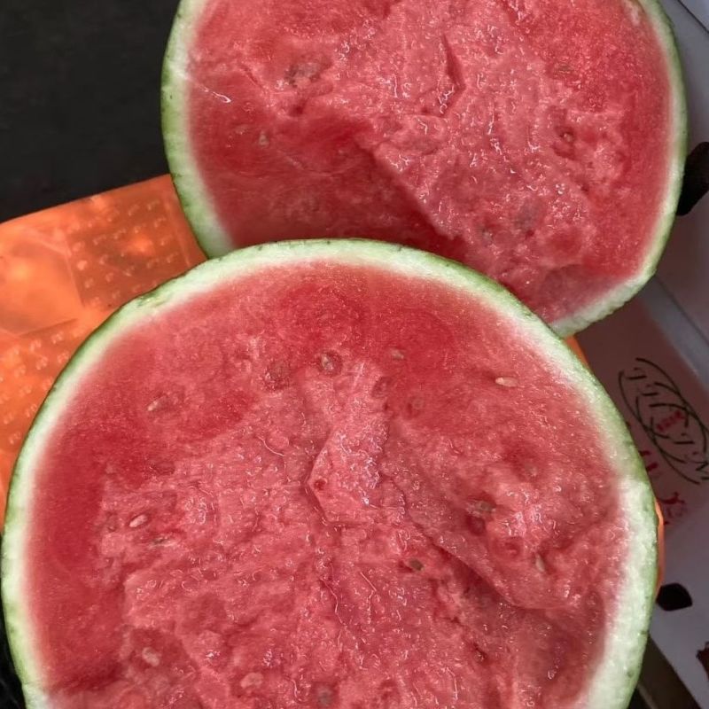 美都西瓜无籽西瓜麒麟西瓜甜度高品质好应季一件代发