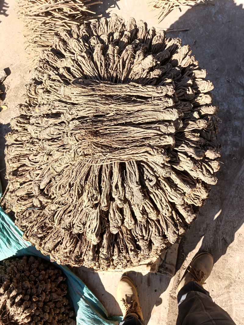正宗岷县全条当归无熏硫，原产地发货量大从优