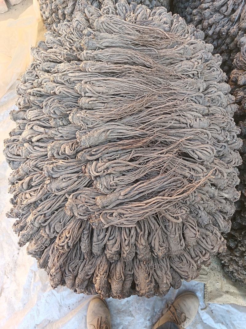 正宗岷县全条当归无熏硫，原产地发货量大从优