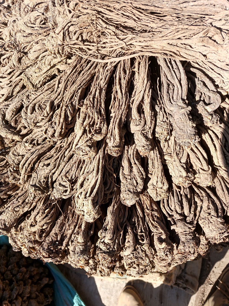 正宗岷县全条当归无熏硫，原产地发货量大从优