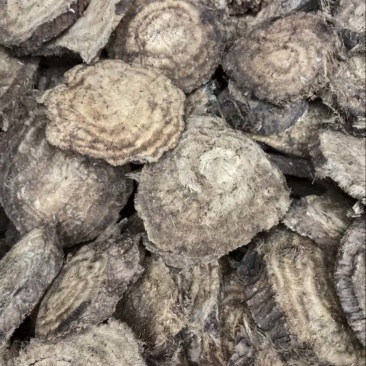 鲜葛根