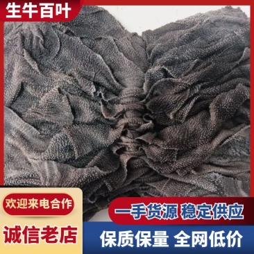 【生牛百叶-求合作】批发50斤牛副产品牛毛肚生牛百叶