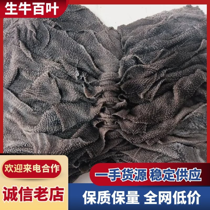 【生牛百叶-求合作】批发50斤牛副产品牛毛肚生牛百叶