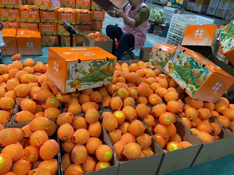 脐橙（一件代发）供应电商团购商超