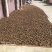 油茶籽，寒露果，24.7%出油率，干度9.0上下