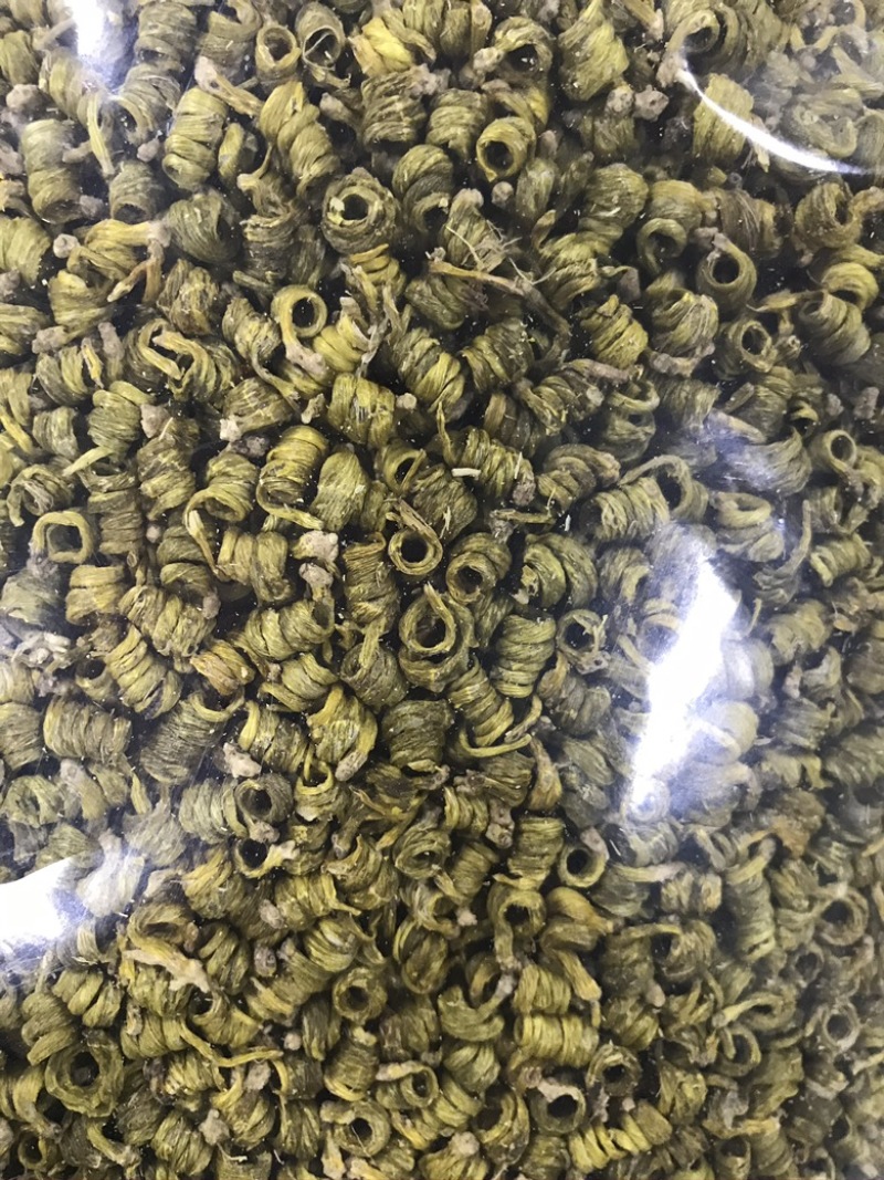 霍山米斛林下仿野生种植石斛林下种植米斛药材