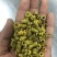 霍山米斛林下仿野生种植石斛林下种植米斛药材