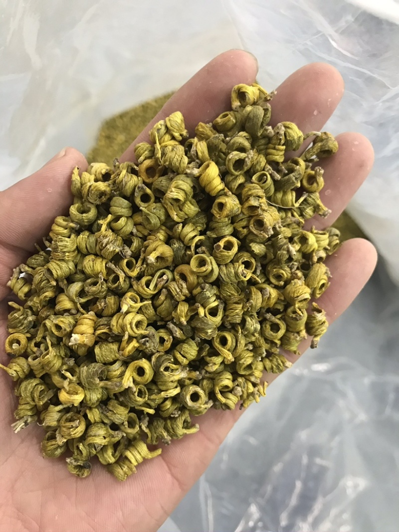 霍山米斛林下仿野生种植石斛林下种植米斛药材
