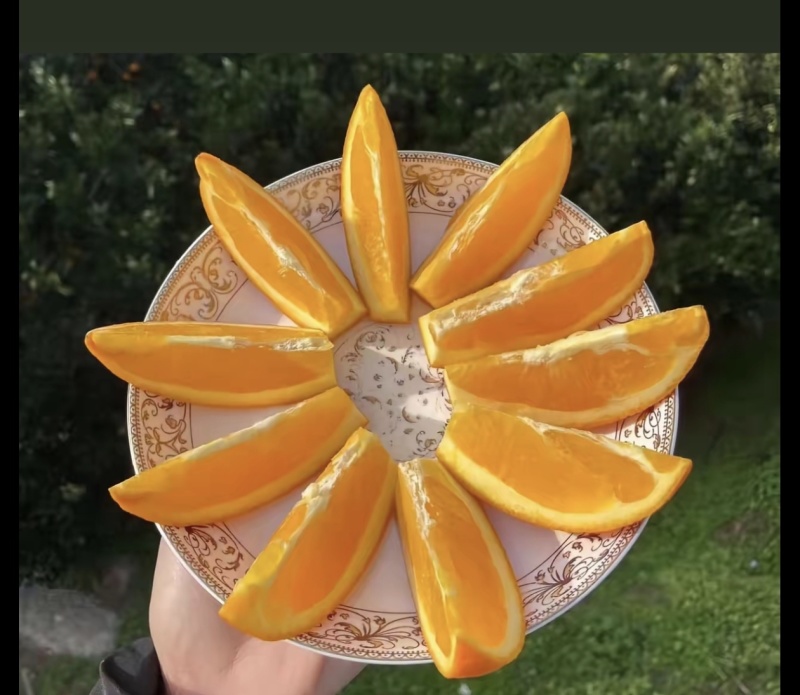 纽菏尔，园红，福本，各种脐橙，保质保量产地直发