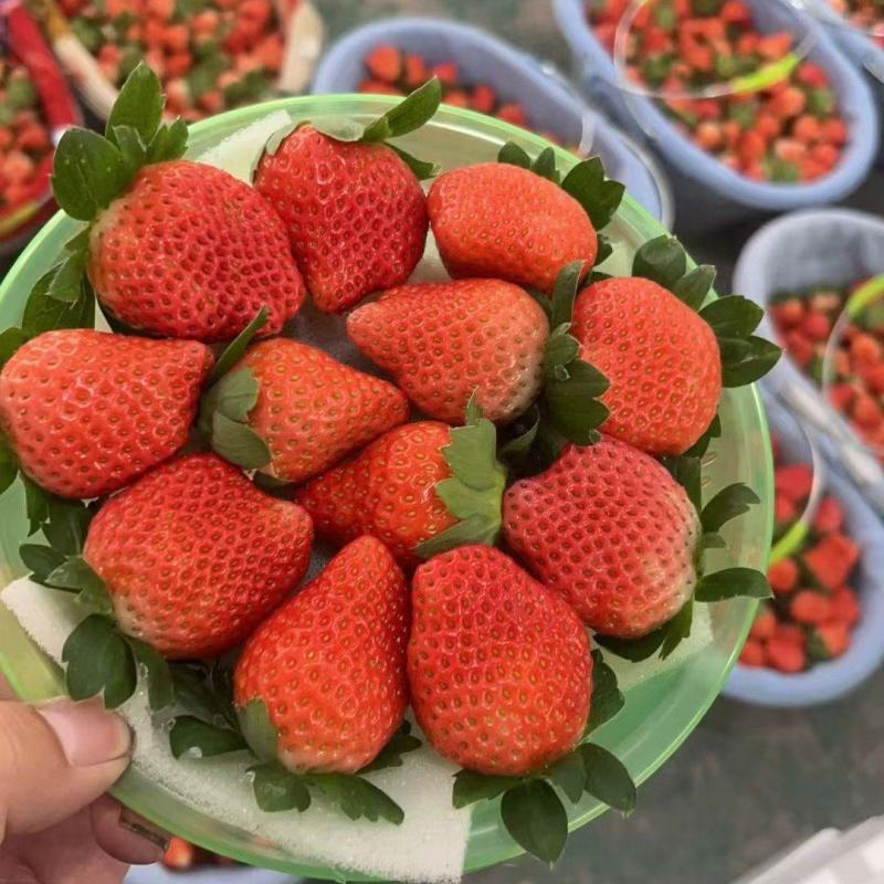 奶油草莓