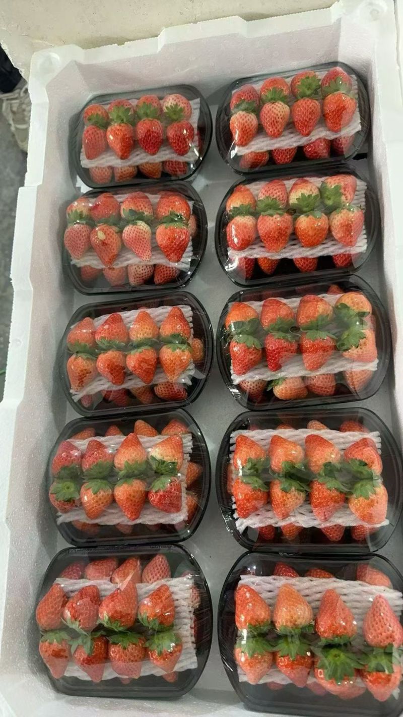 奶油草莓