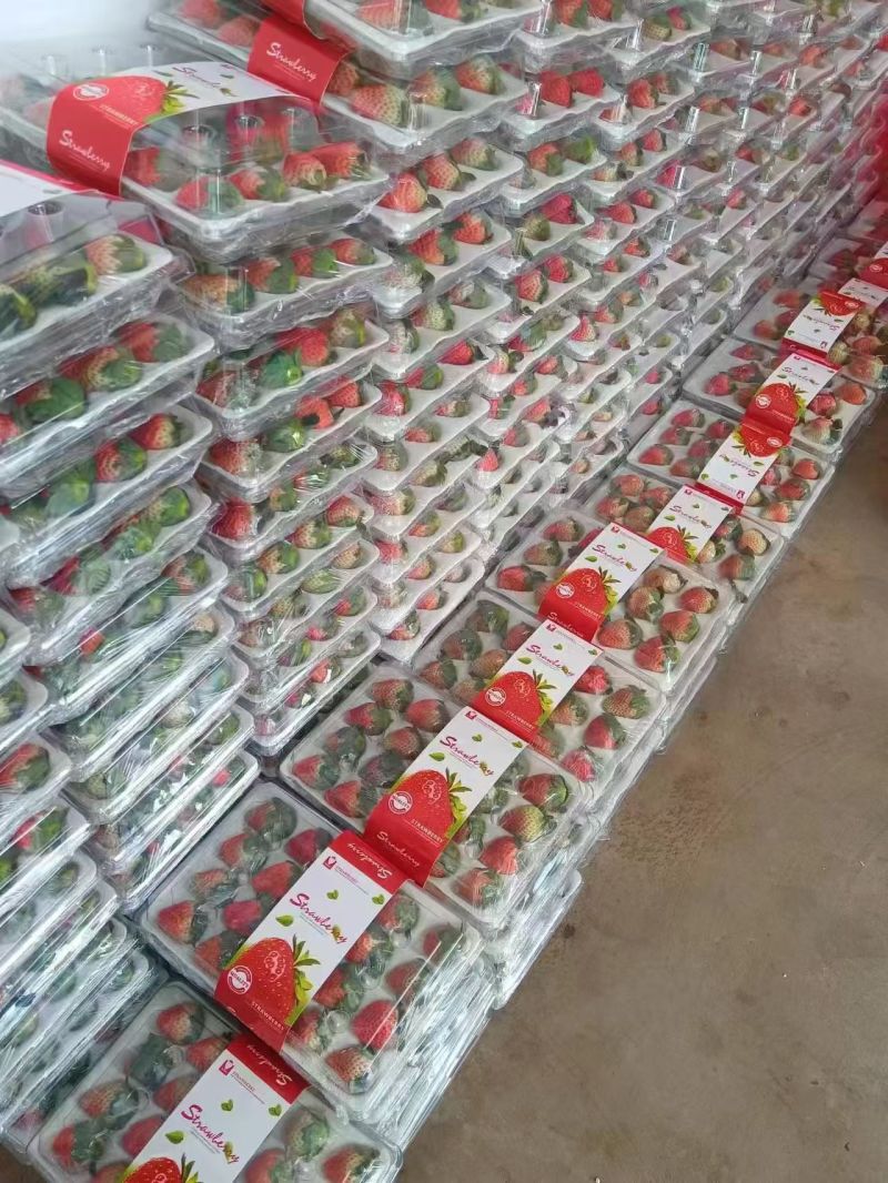 奶油草莓