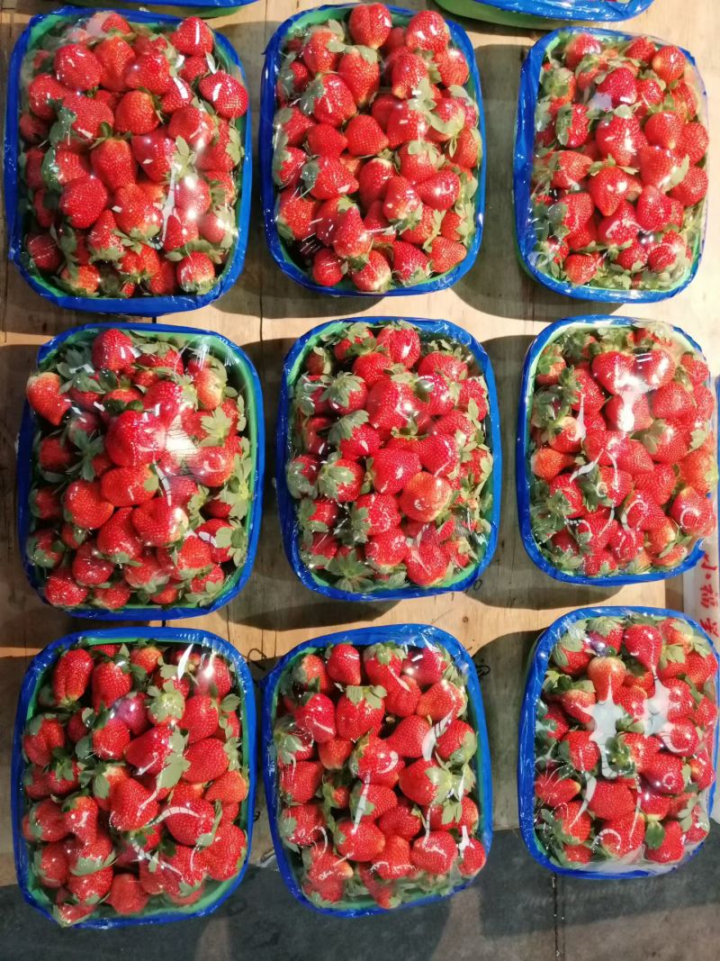 奶油草莓