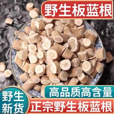 板蓝根大青根板兰根中药材板蓝根规格齐全量大从优