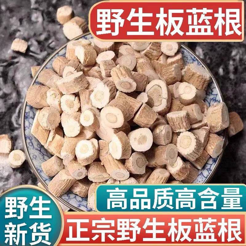 板蓝根大青根板兰根中药材板蓝根规格齐全量大从优
