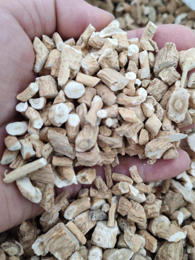 板蓝根大青根板兰根中药材板蓝根规格齐全量大从优