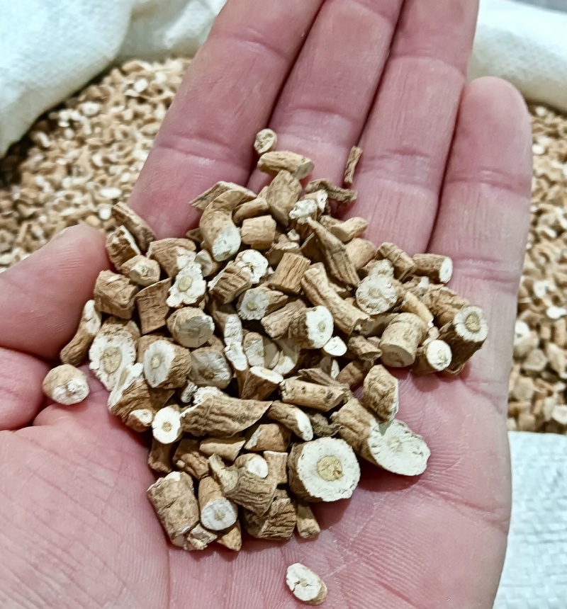 板蓝根大青根板兰根中药材板蓝根规格齐全量大从优