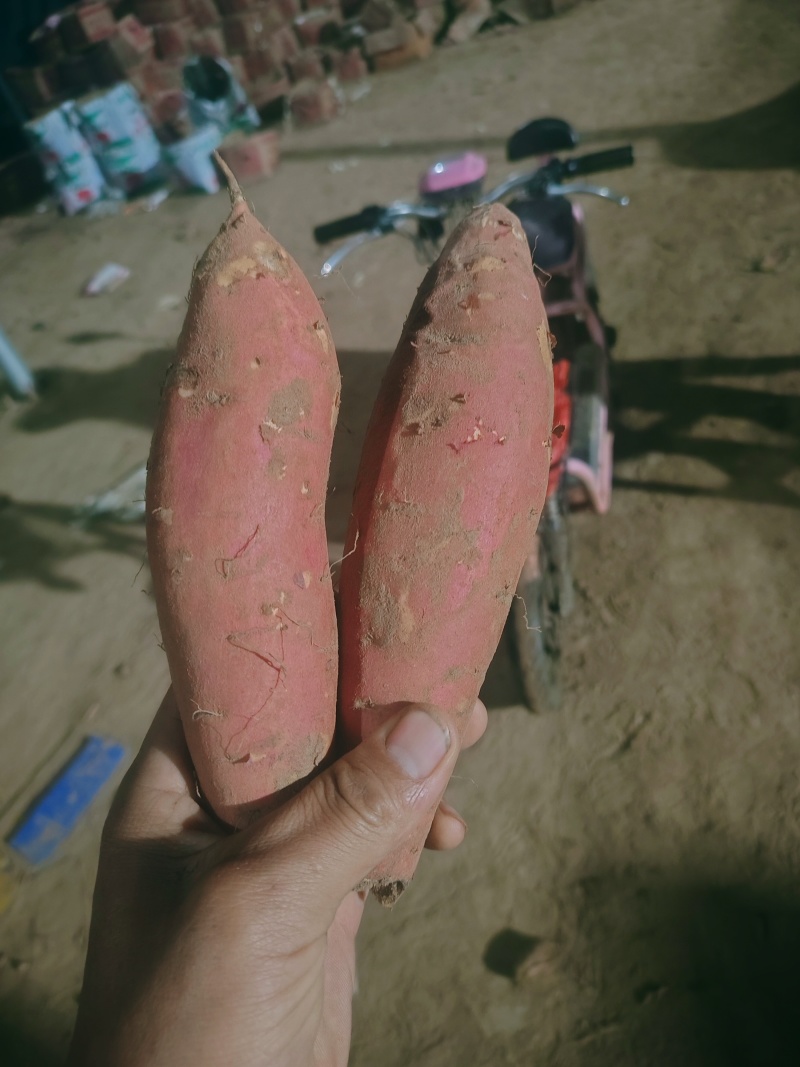 烟薯25烤红薯红皮红心地窖储存货，地瓜红薯