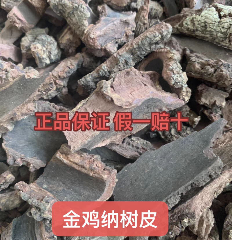 中药材金鸡纳树皮奎宁树规那树毛金鸡纳树皮一手