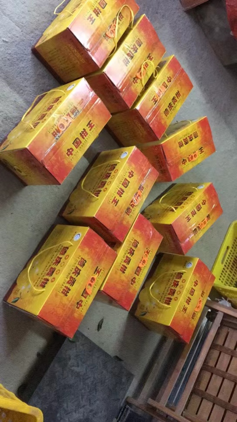【电商】广东精品皇帝柑千亩基地新鲜采摘承接电商一件代发