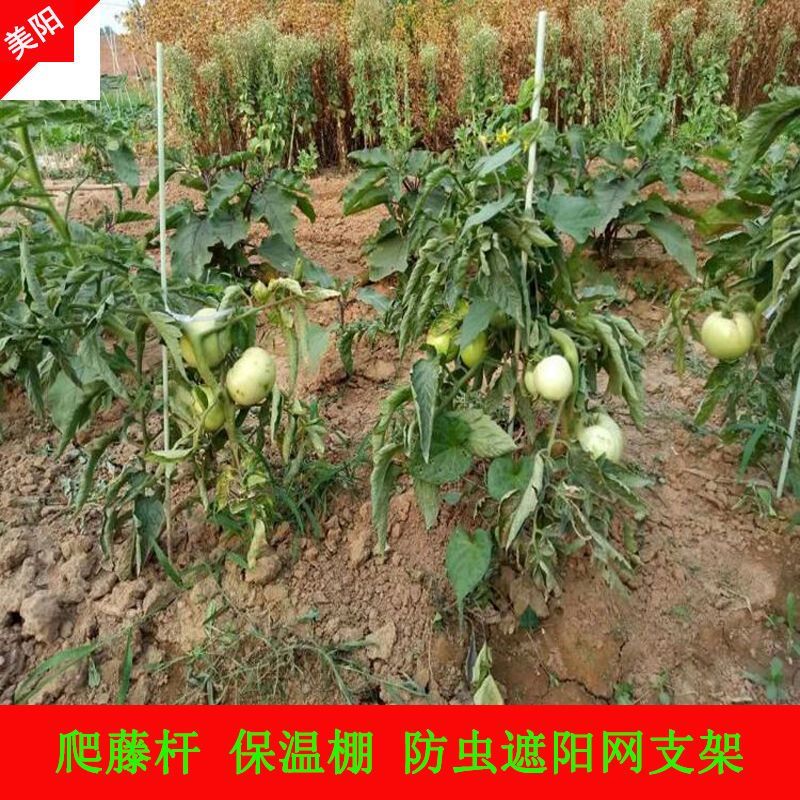 玻璃纤维杆，拱棚专用小拱棚支架蔬菜实心杆超硬防虫网拱杆玻
